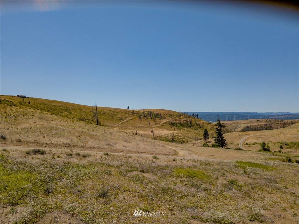 Cle Elum, WA 98922,0 XXX Raptor Ridge RD