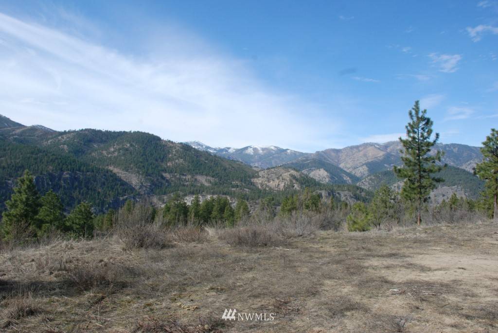 Chelan, WA 98816,0 Tract 1A Bear Mountain RD