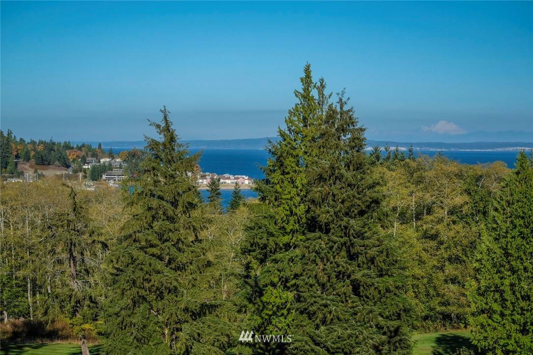 Port Ludlow, WA 98365,23 Raeburn CT