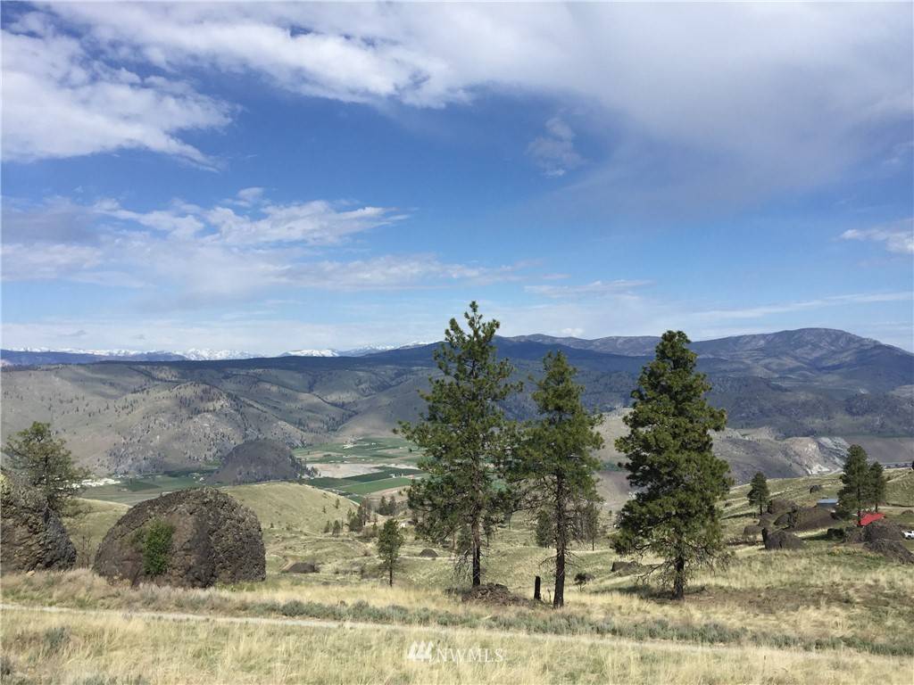 Orondo, WA 98816,0 Lot 34 Springs Canyon RD