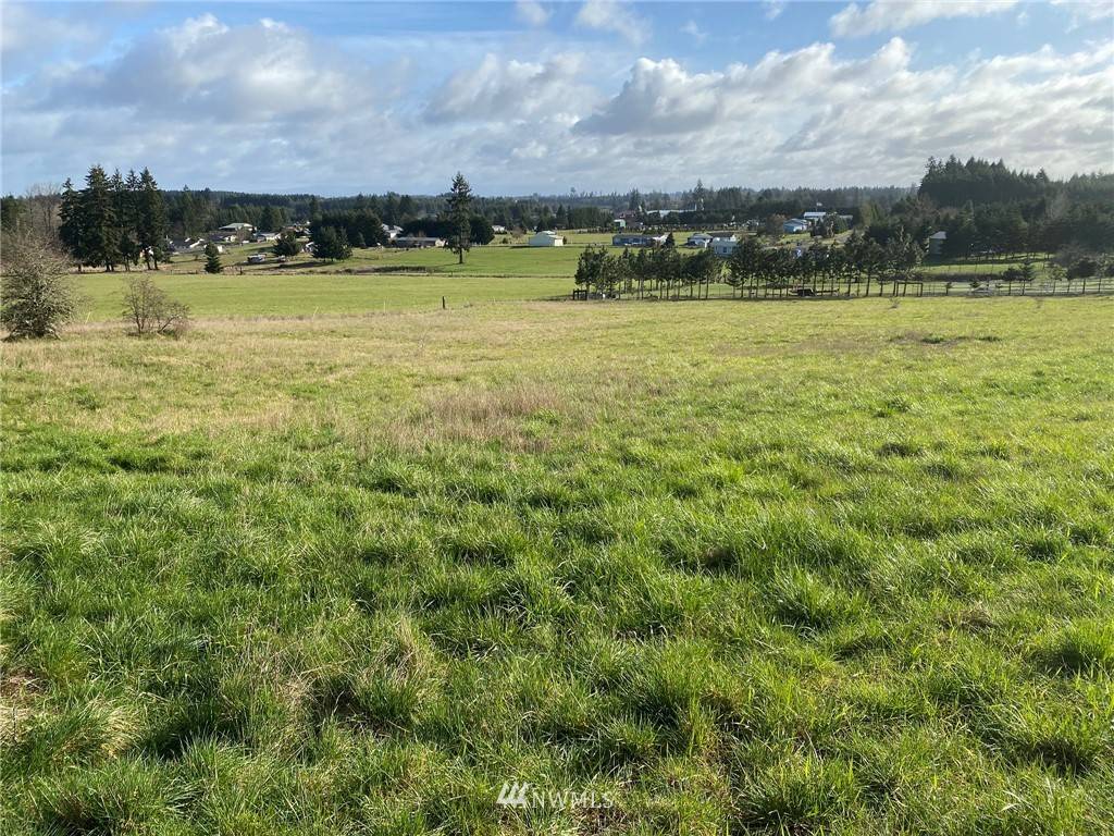 Winlock, WA 98596,0 000 Hale RD