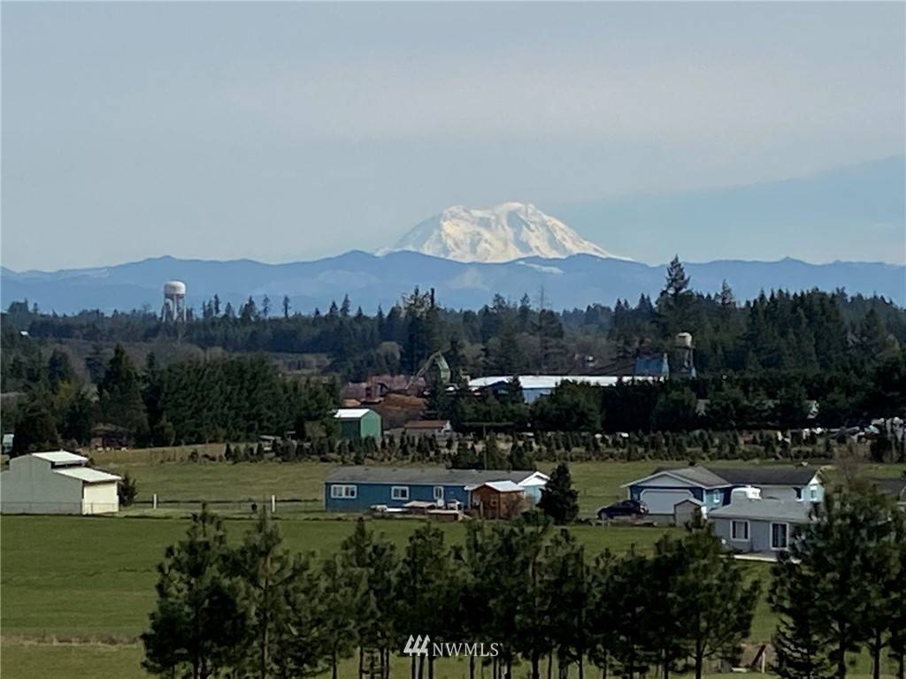 Winlock, WA 98596,0 000 Hale RD