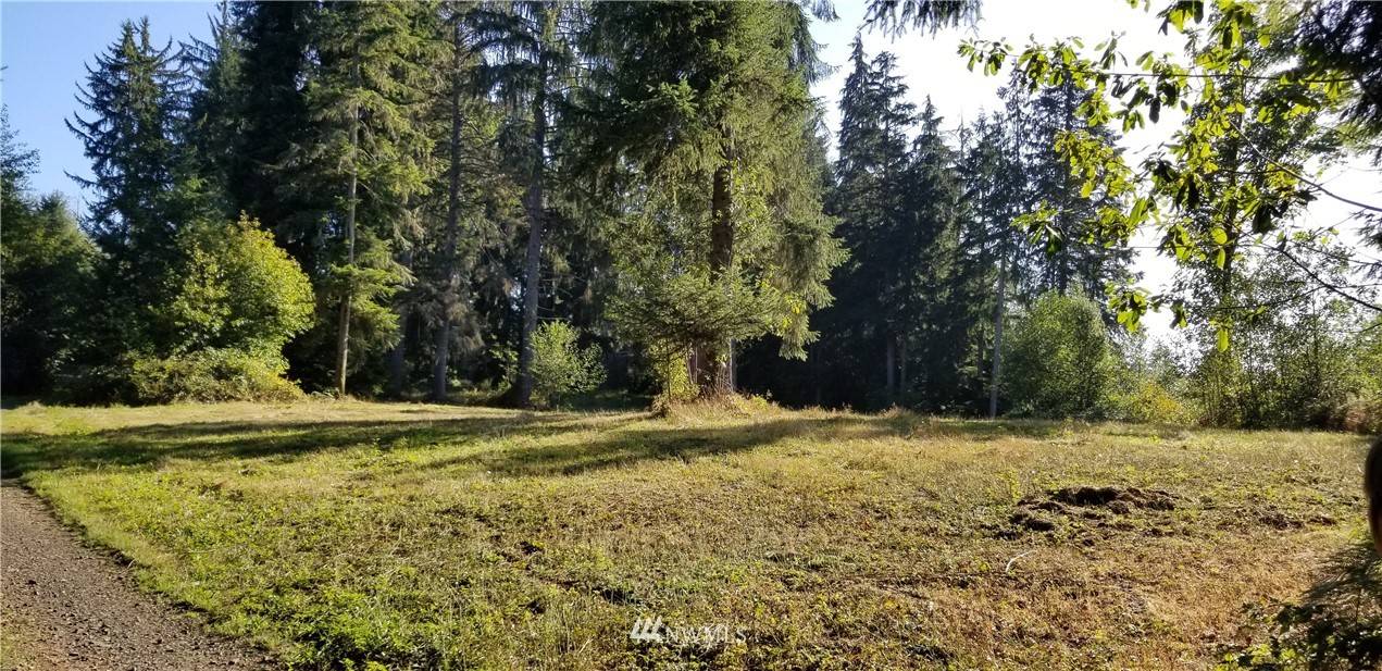 Cathlamet, WA 98612,59 Spruce PL