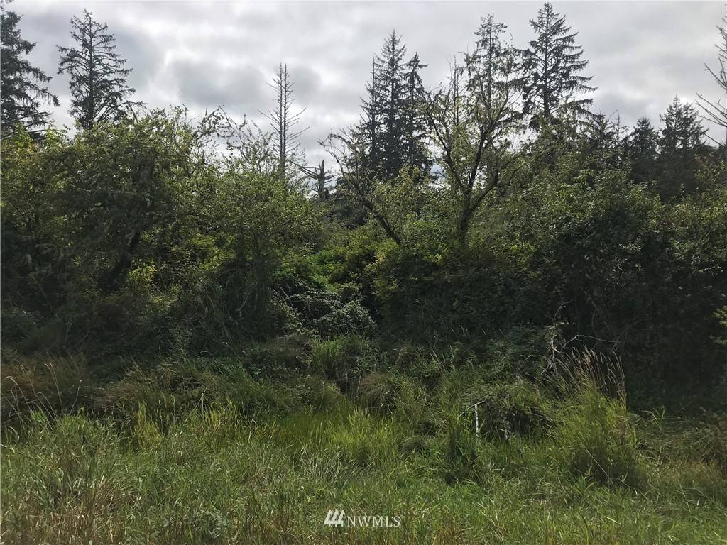 Naselle, WA 98586,0 US Highway 101