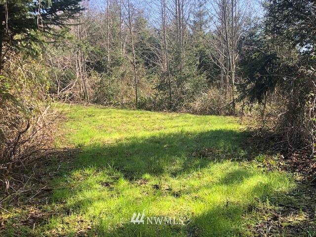 Cathlamet, WA 98612,5 Lots W SR 4