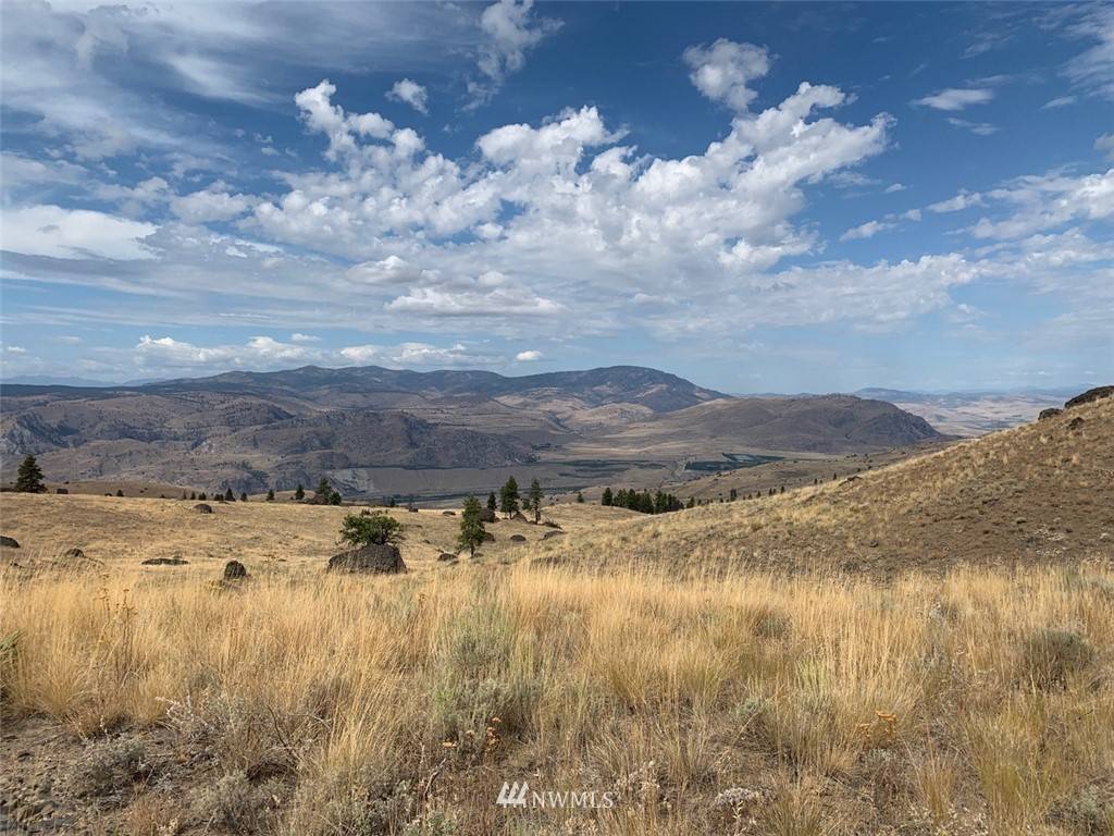 Waterville, WA 98858,0 Columbia River Bluffs RD