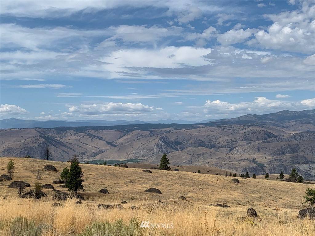 Waterville, WA 98858,0 Columbia River Bluffs RD