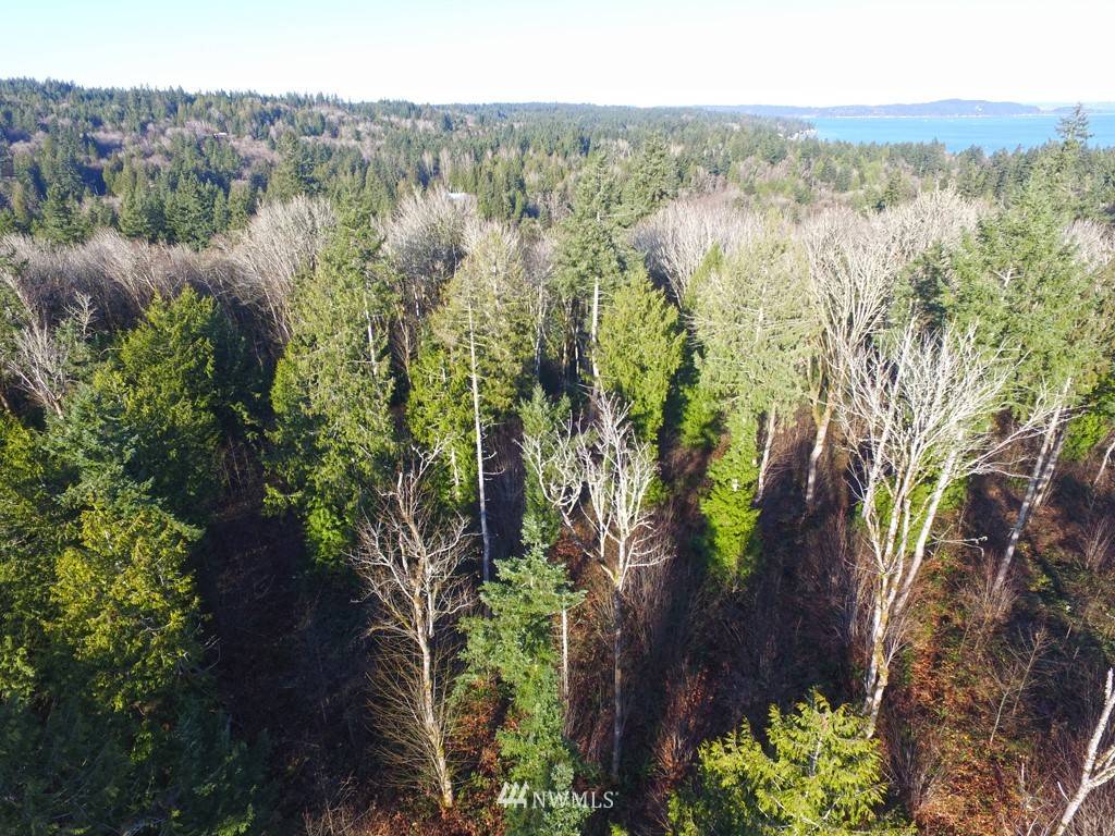 Port Orchard, WA 98366,4 Forest View Lot 4 LN