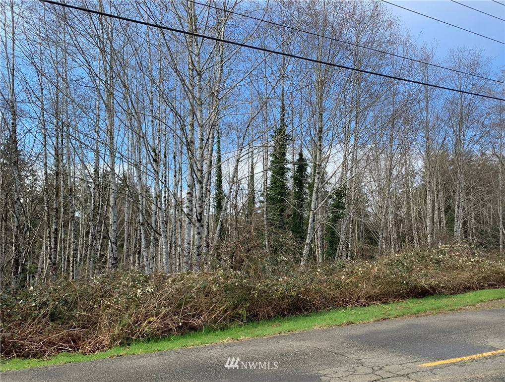 Raymond, WA 98577,0 13XX Raymond - South Bend RD