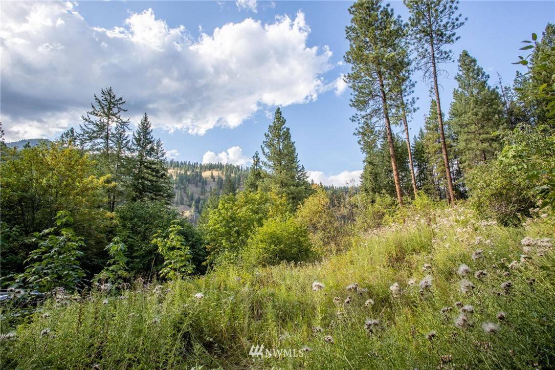 Peshastin, WA 98847,3851 Old Blewett RD