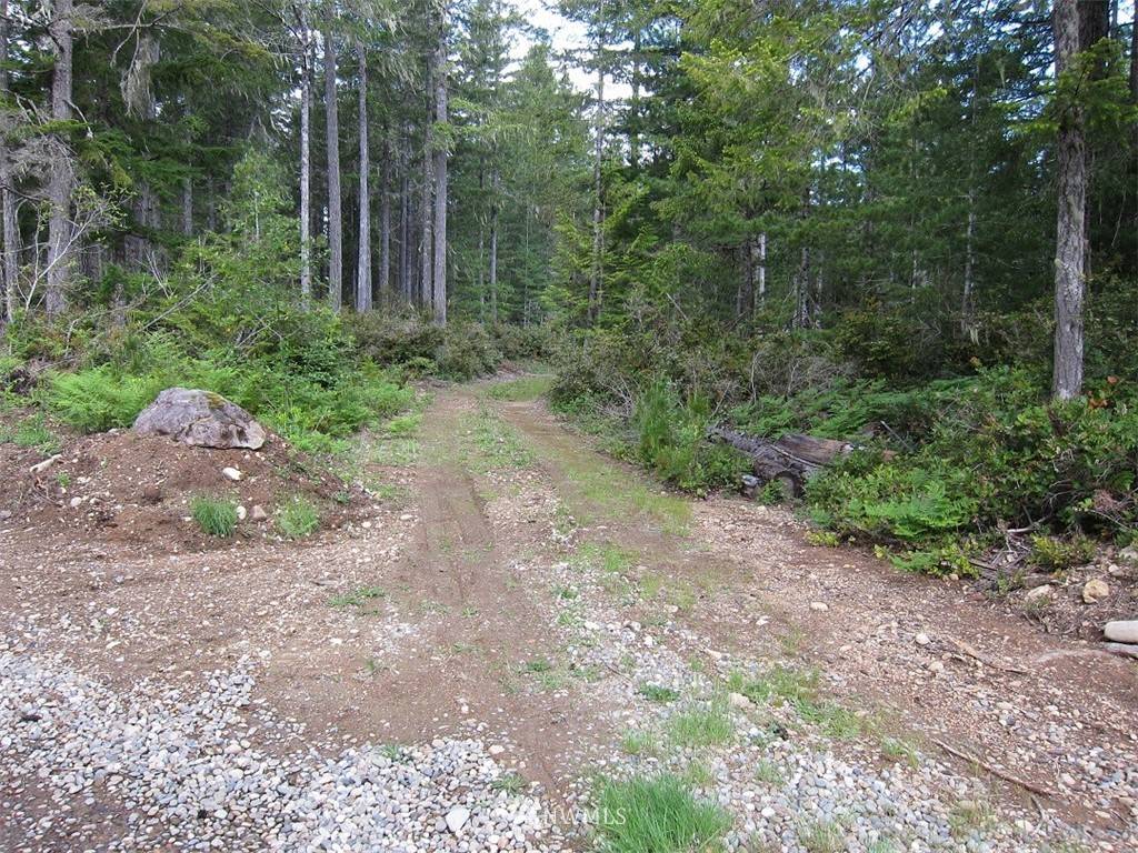 Tahuya, WA 98588,20 Lot NE D and J Trails