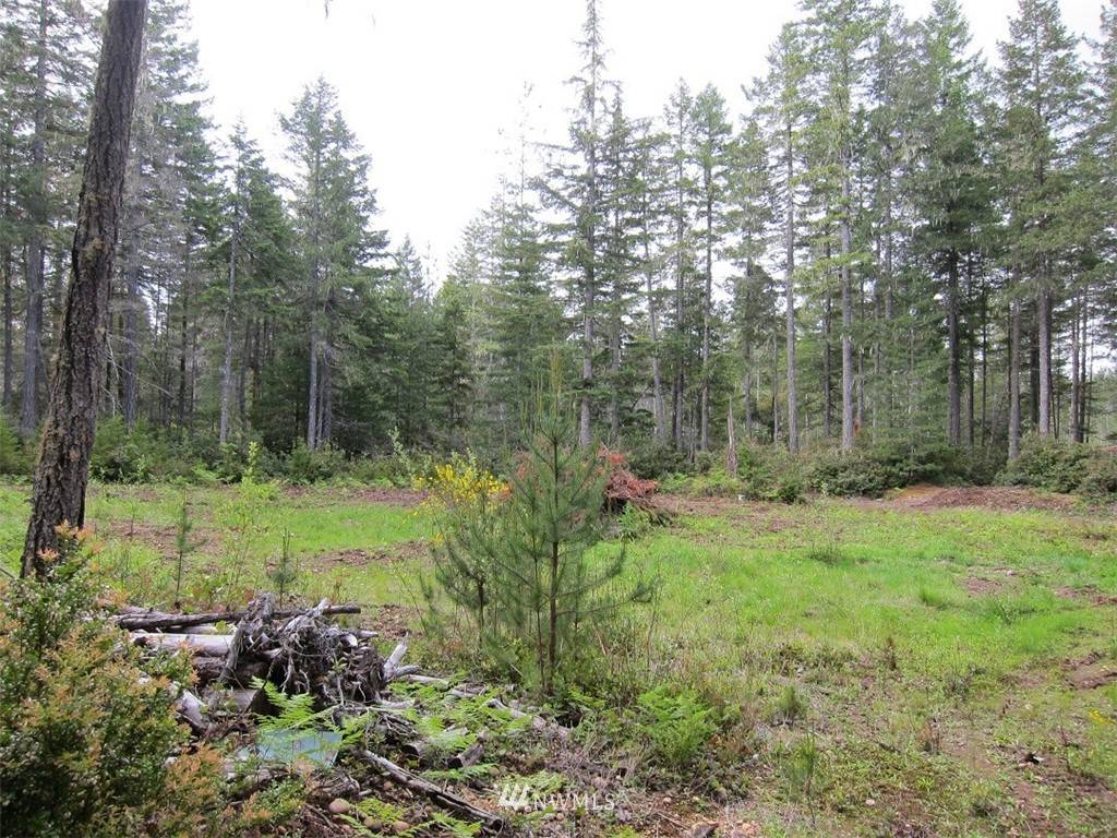 Tahuya, WA 98588,20 Lot NE D and J Trails