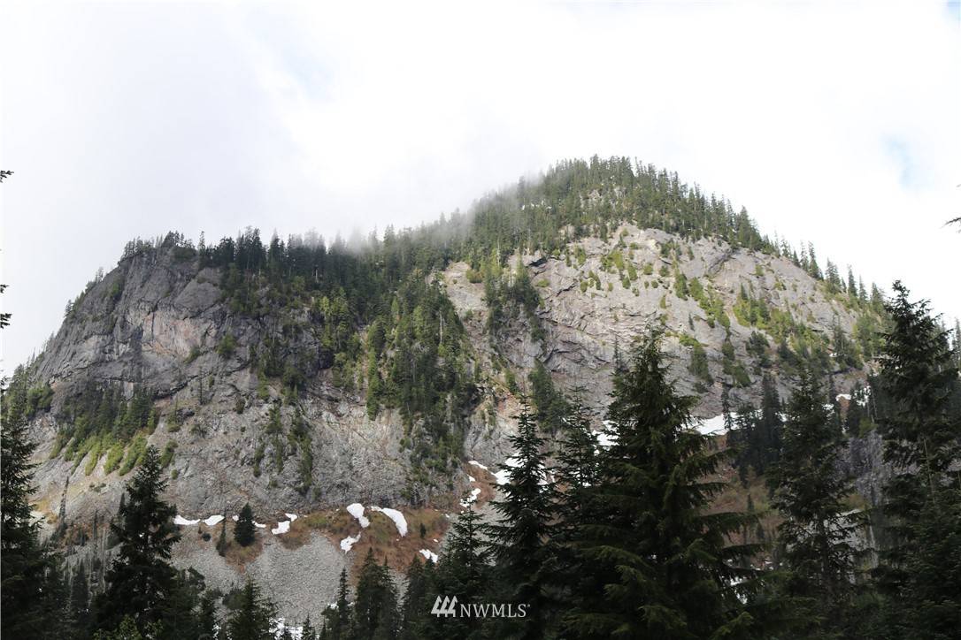 Snoqualmie Pass, WA 98068,59 St Anton Strasse