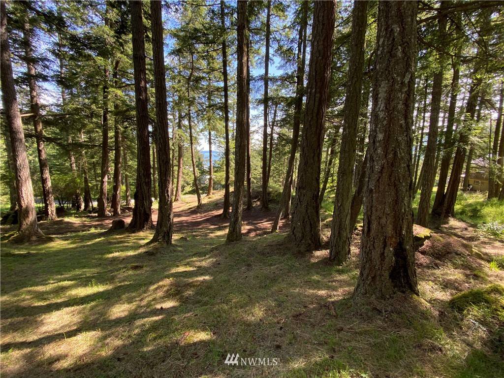 Orcas Island, WA 98245,0 16 & 17 Rosario RD