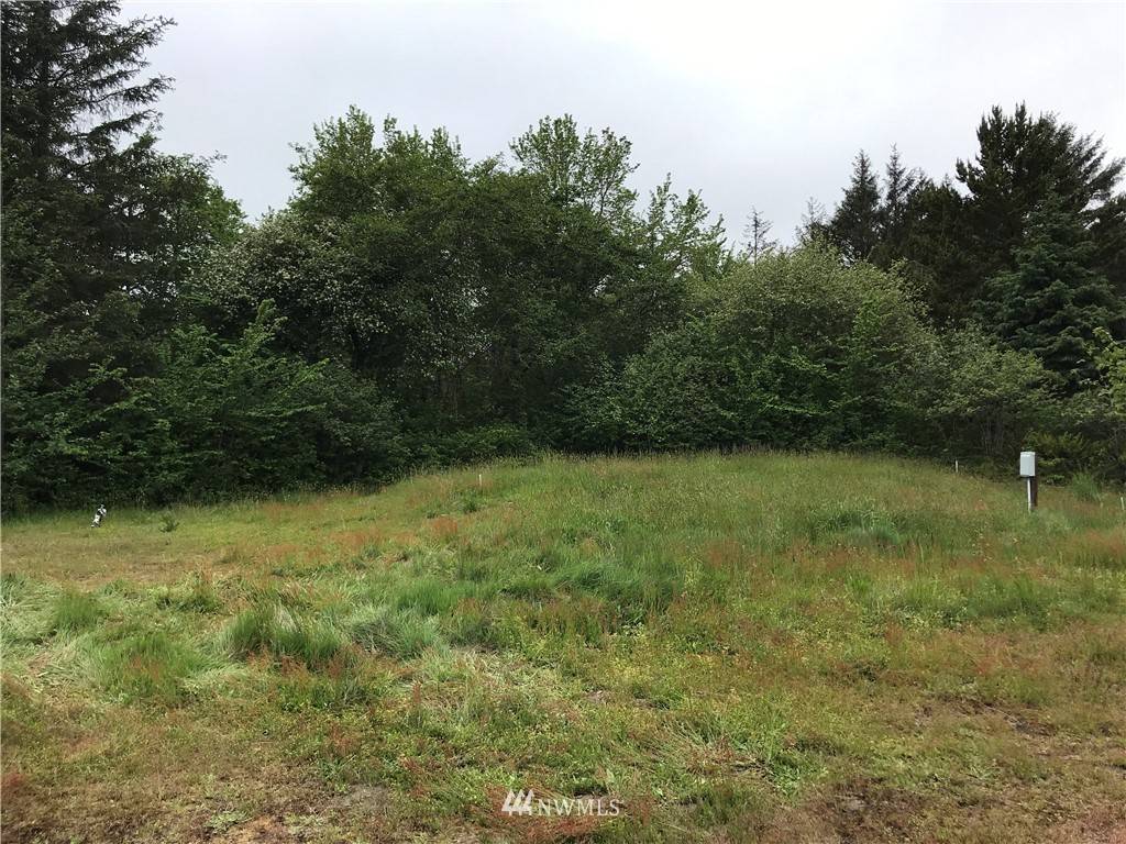 Grayland, WA 98547,1743 SR 105