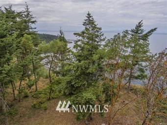 Port Townsend, WA 98368,35 Rainshadow DR