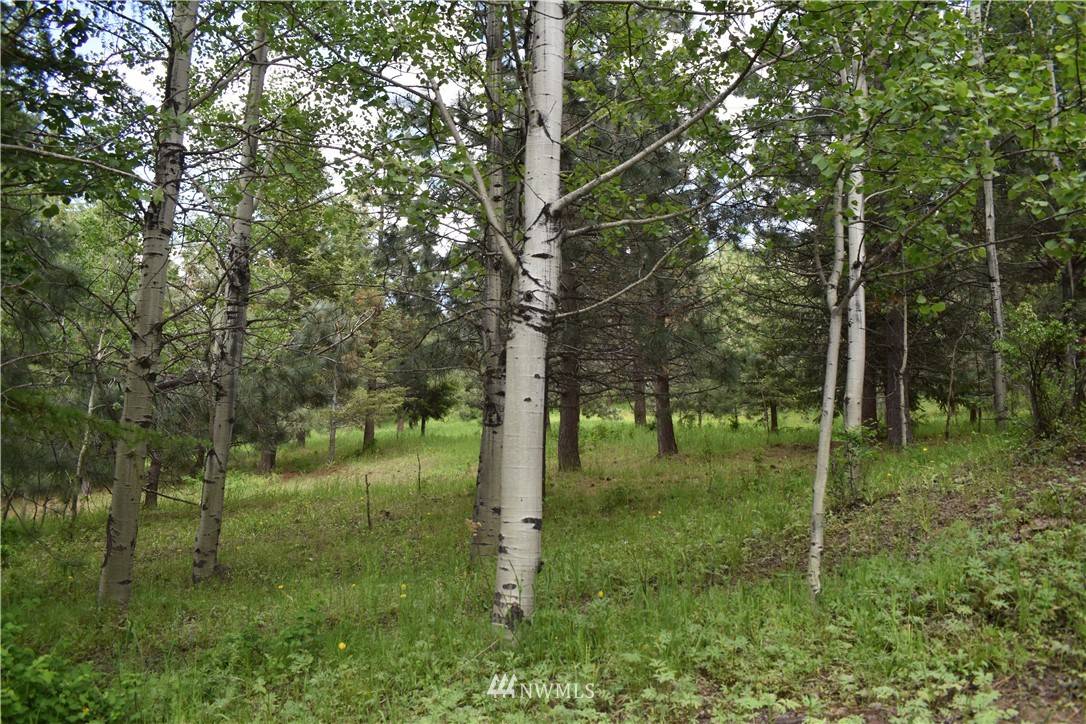 Tonasket, WA 98855,0 XXX Aeneas Mountain RD