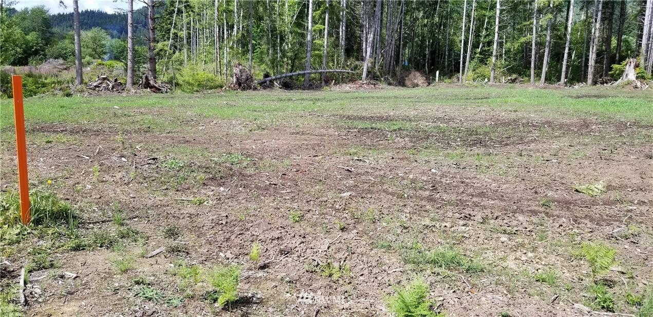 Naselle, WA 98638,0 State Route 4   lot 2