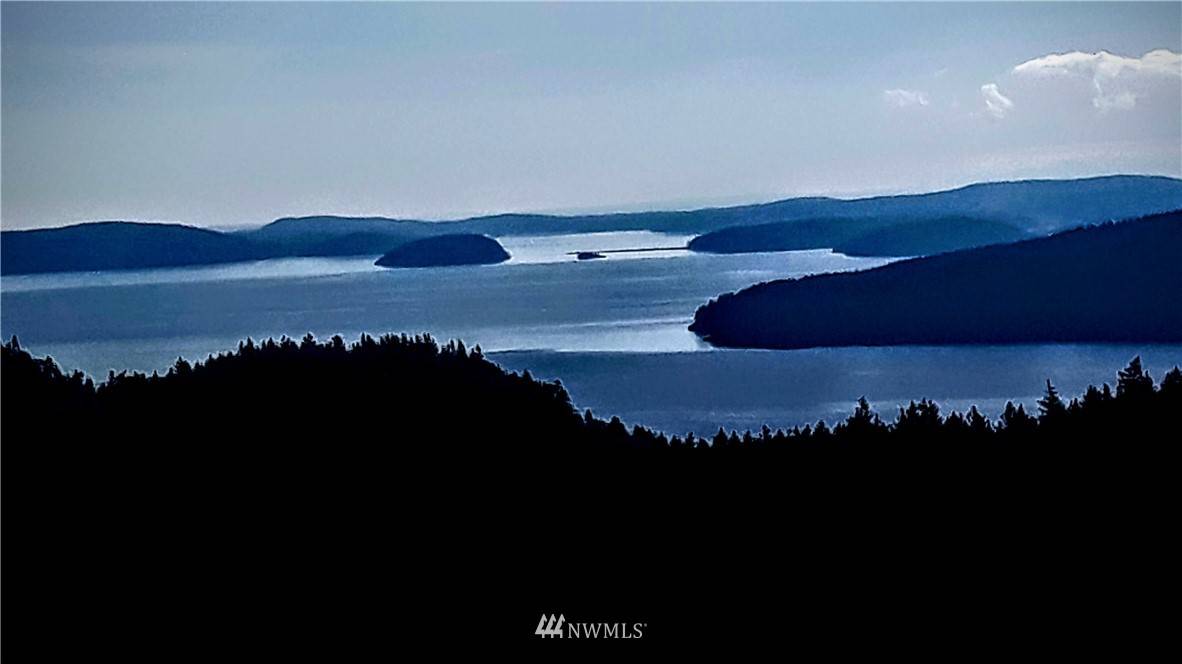 Orcas Island, WA 98245,0 Vusario LN