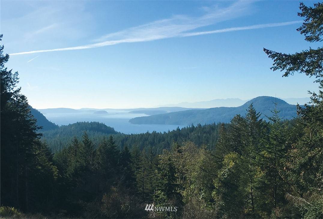 Orcas Island, WA 98245,0 Vusario LN