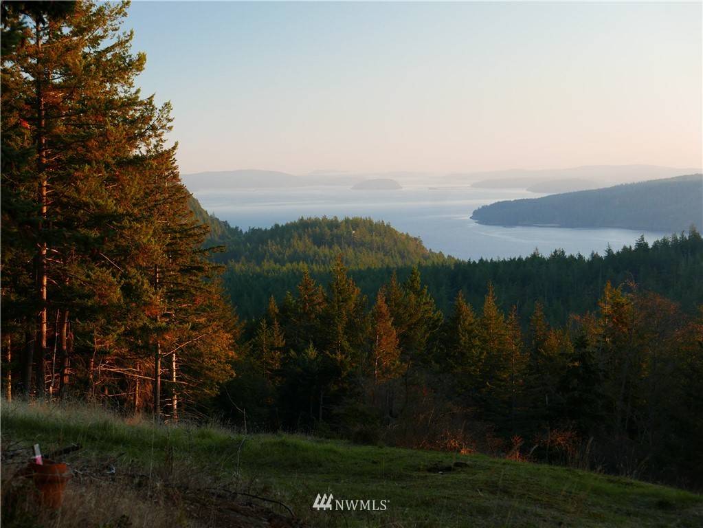 Orcas Island, WA 98245,0 Vusario LN