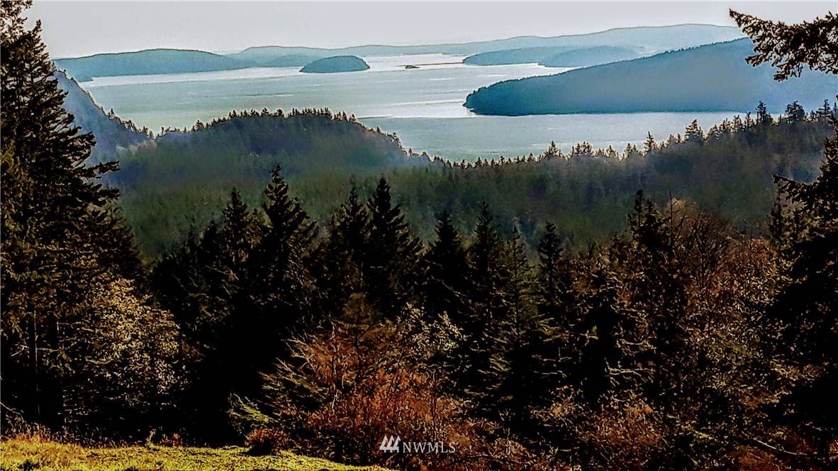 Orcas Island, WA 98245,0 Vusario LN