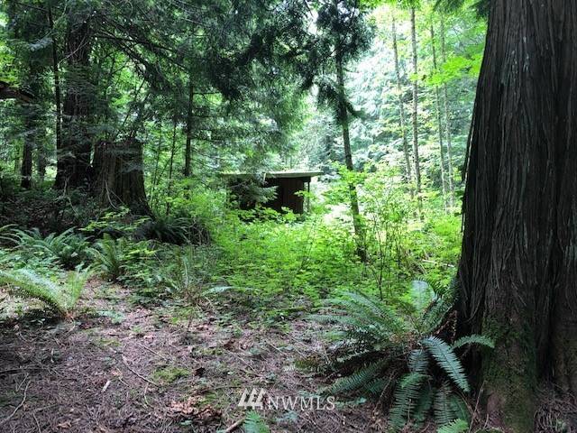 Sedro Woolley, WA 98284,7398 Sunny LN