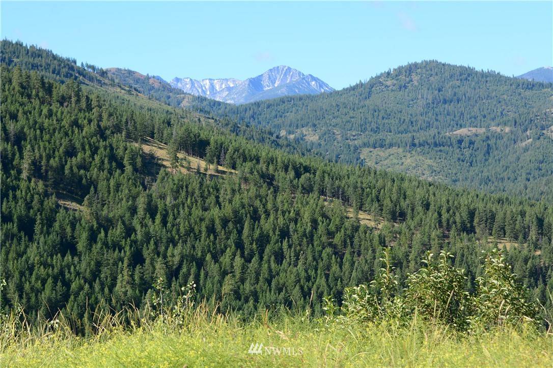 Twisp, WA 98856,32 Woods Canyon RD
