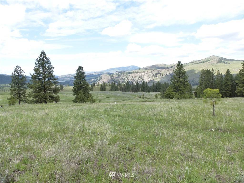 Tonasket, WA 98855,78 Chopaka WAY