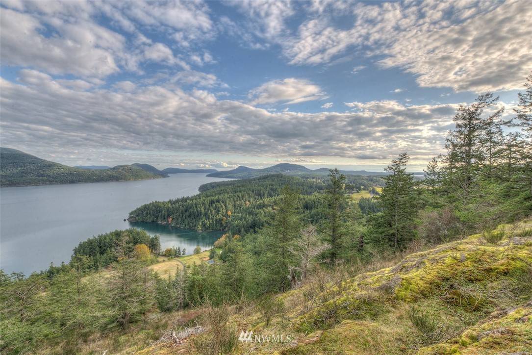 Orcas Island, WA 98245,0 Panoramic DR