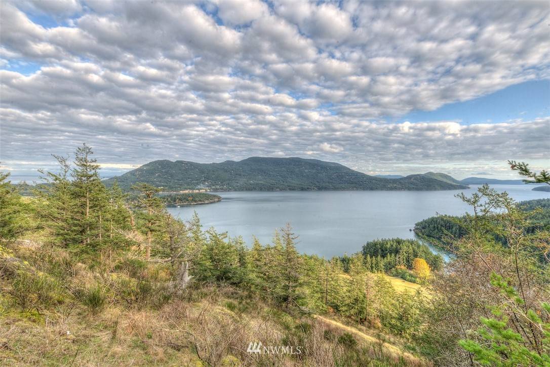 Orcas Island, WA 98245,0 Panoramic DR