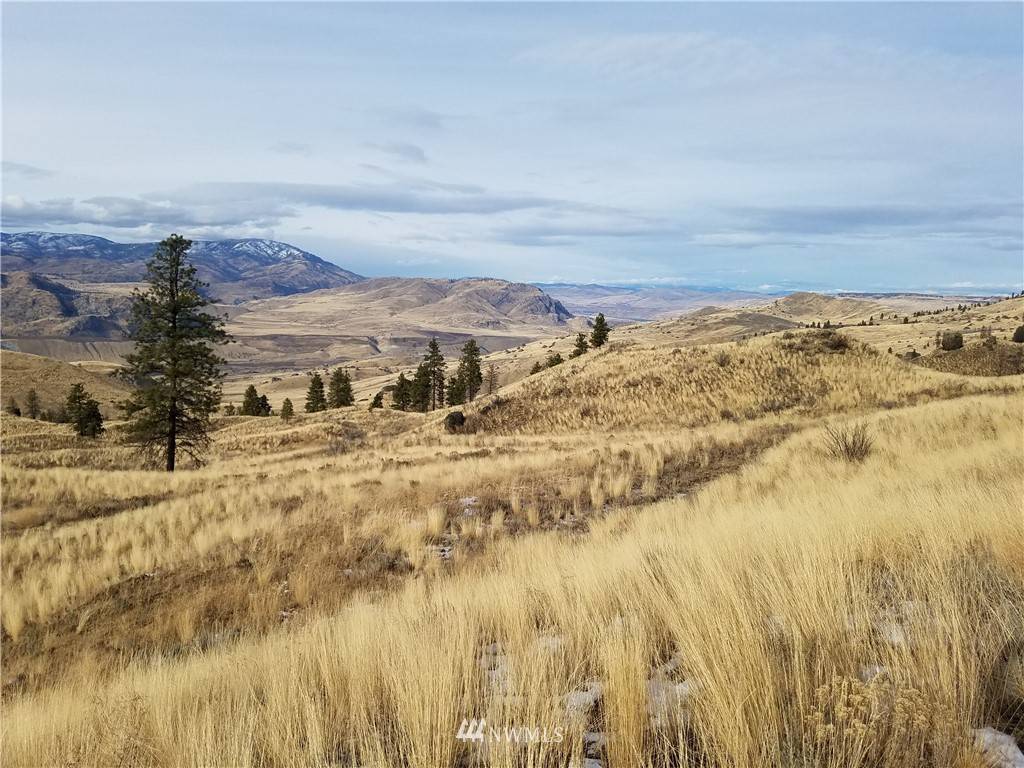 Waterville, WA 98858,0 Columbia River Bluffs RD