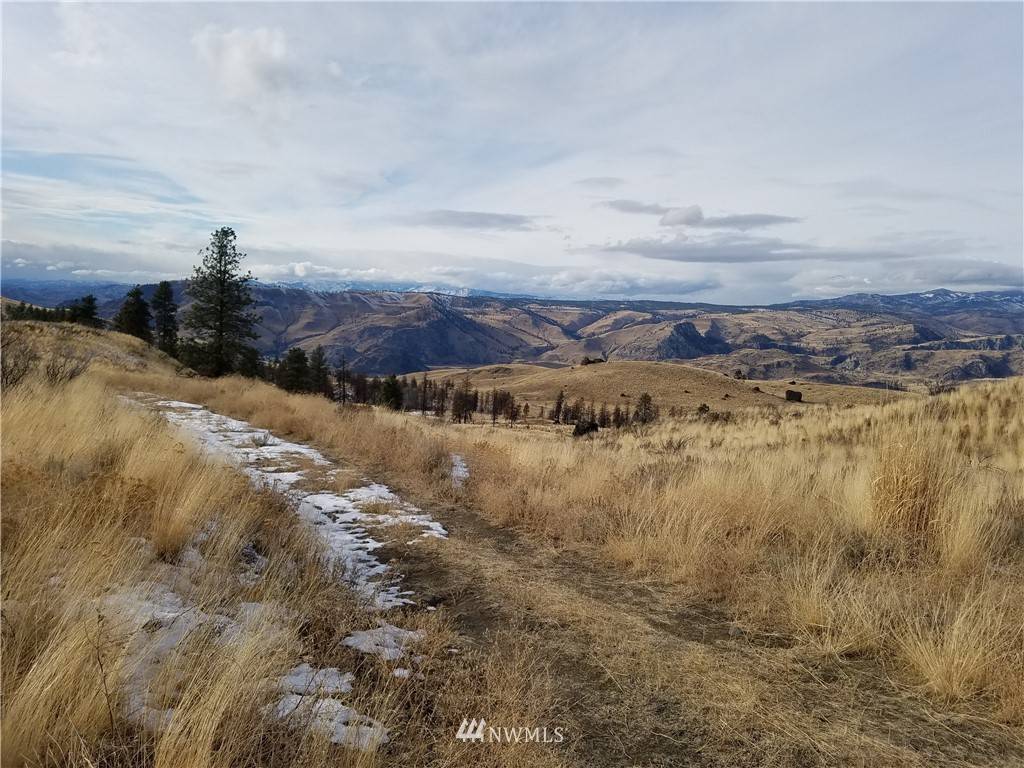 Waterville, WA 98858,0 Columbia River Bluffs RD