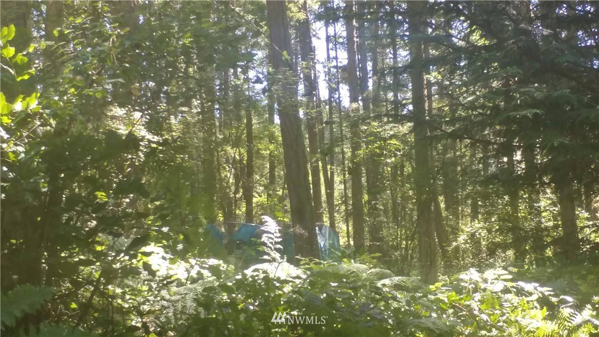 Lopez Island, WA 98261,2 Pavey BLVD