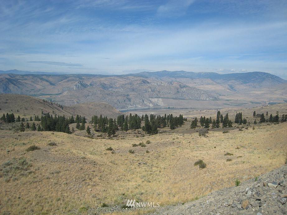 Orondo, WA 98843,0 Lot 20 Long Draw RD