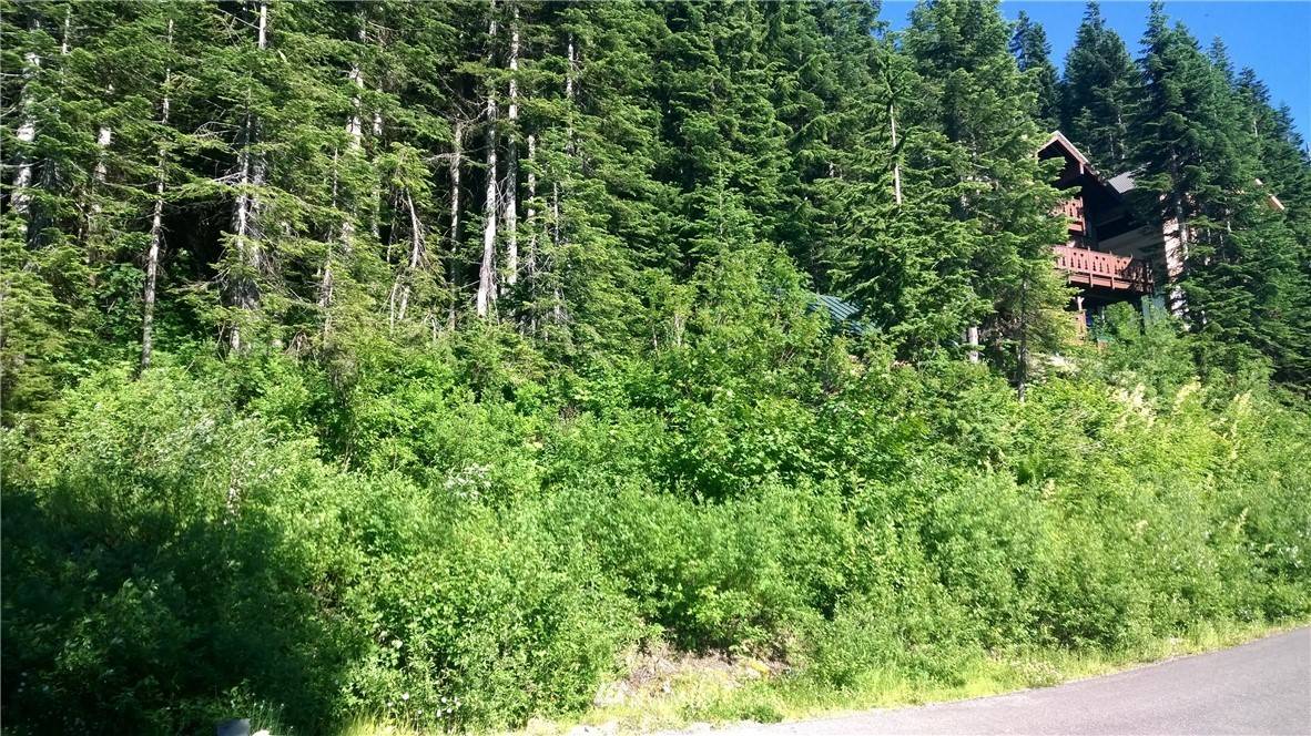 Snoqualmie Pass, WA 98068,12 Ober Strasse