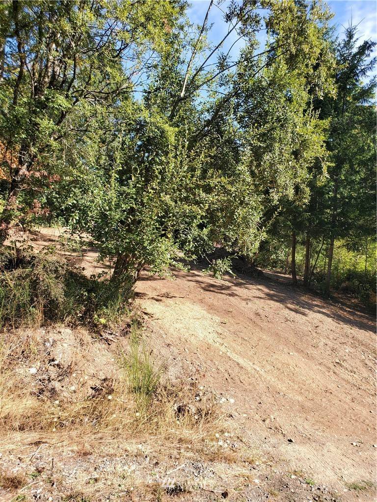 Shelton, WA 98584,21 Lot # SHERWOOD PL