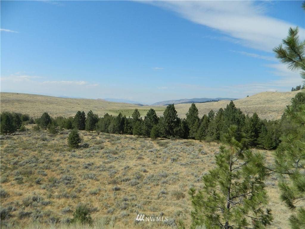 Tonasket, WA 98855,111 TBD Siwash Creek RD