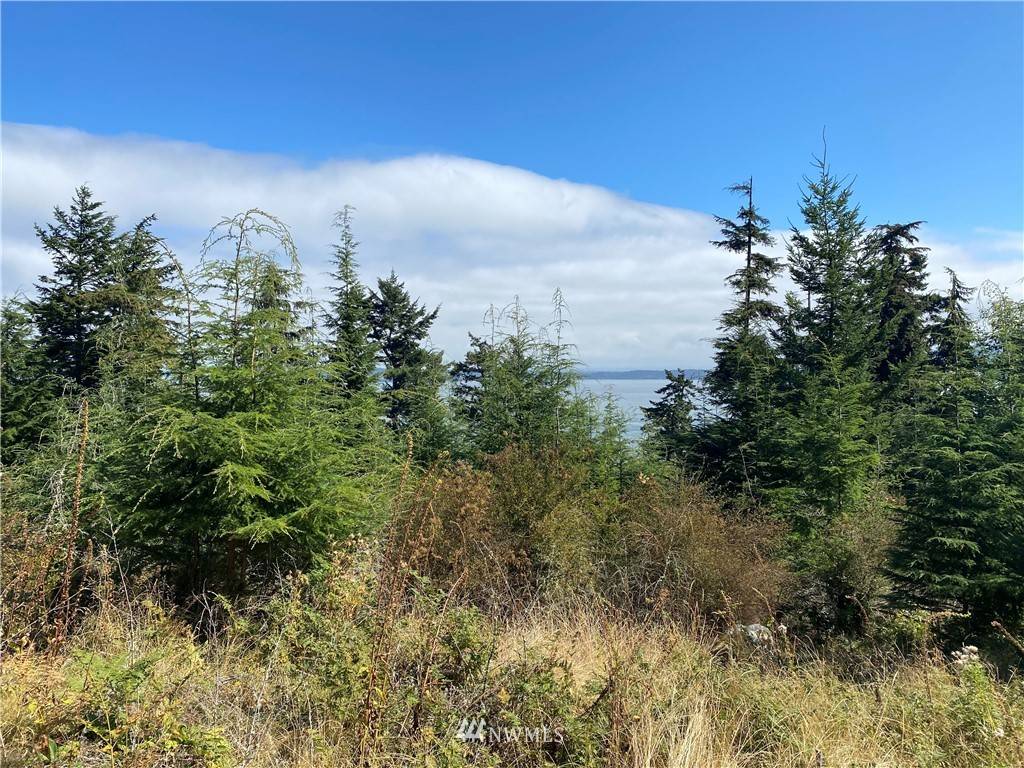 Orcas Island, WA 98279,36 Coastline DR