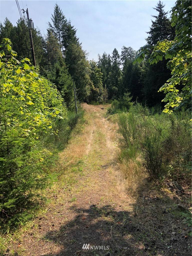 Brinnon, WA 98320,9999 Trail Wood DR