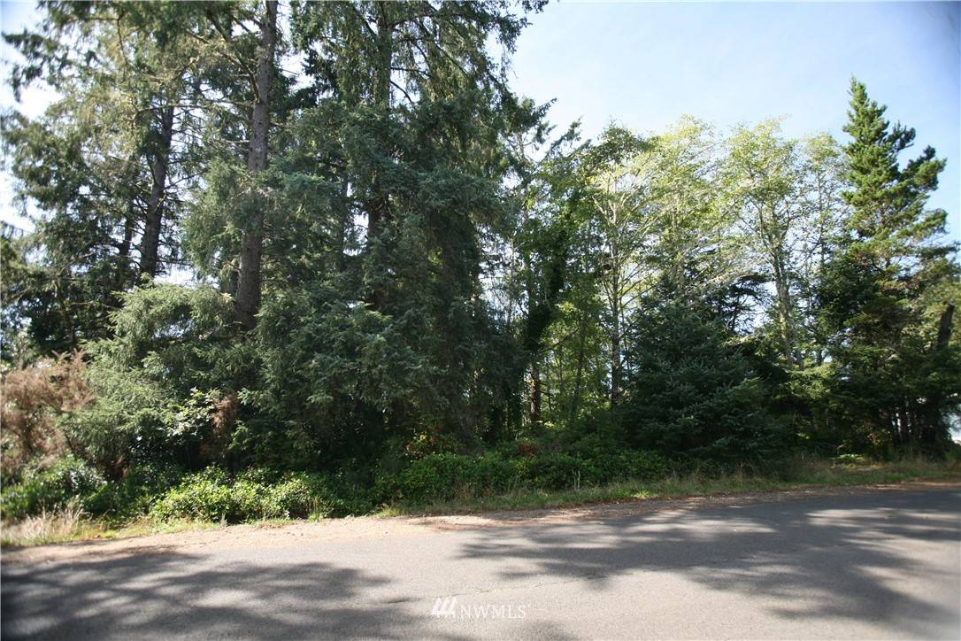 Oysterville, WA 98641,32425 Douglas DR