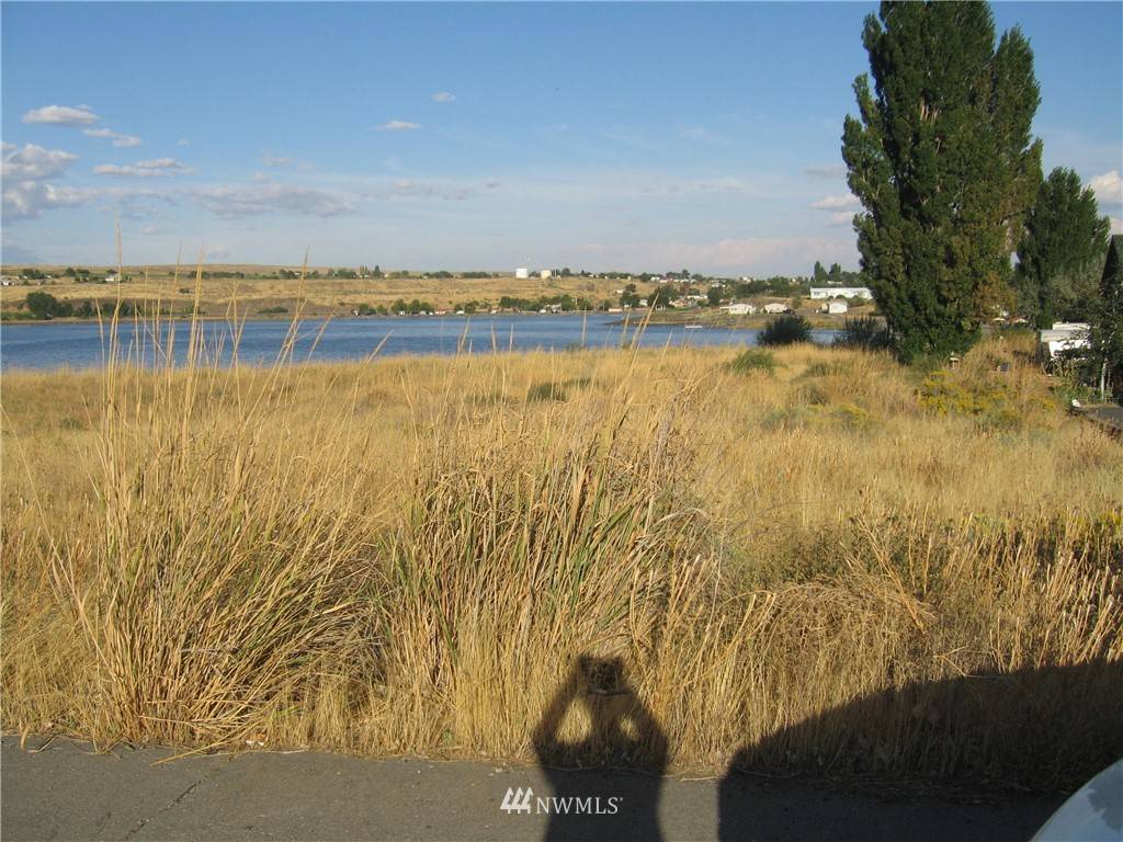 Soap Lake, WA 98851,48 N Fir ST