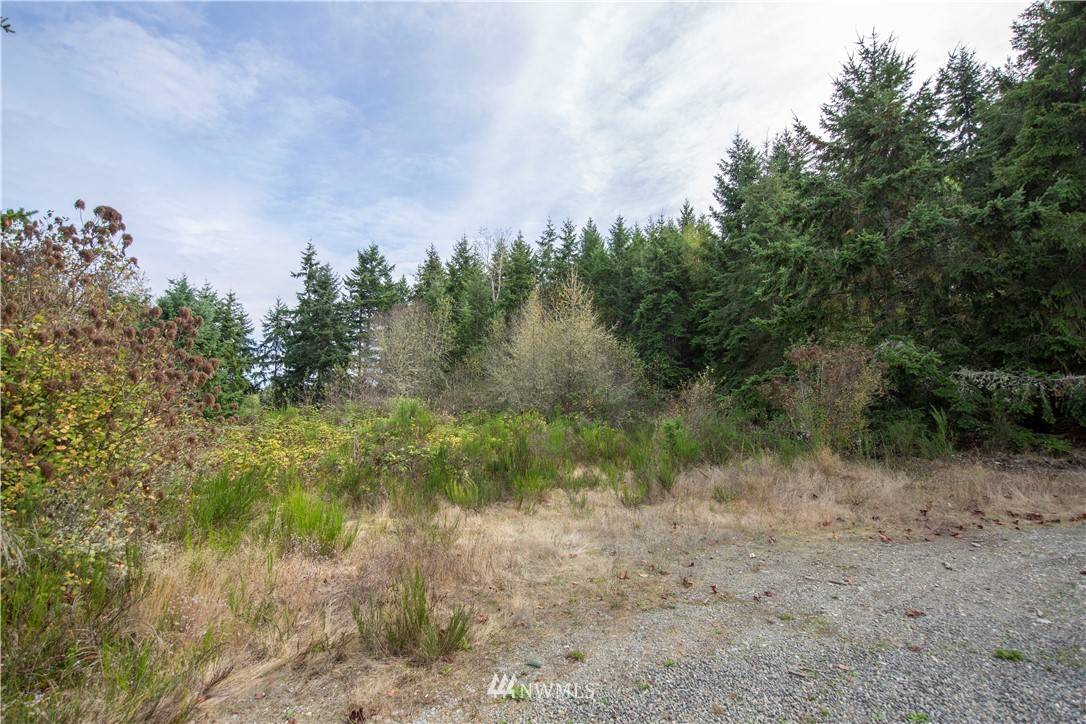 Port Hadlock, WA 98339,9999 Quimper LN