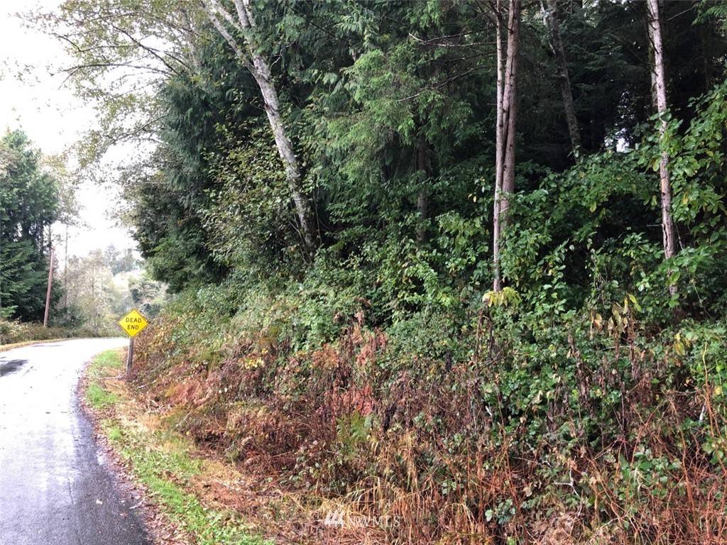 Rosburg, WA 98643,0 Seal River RD