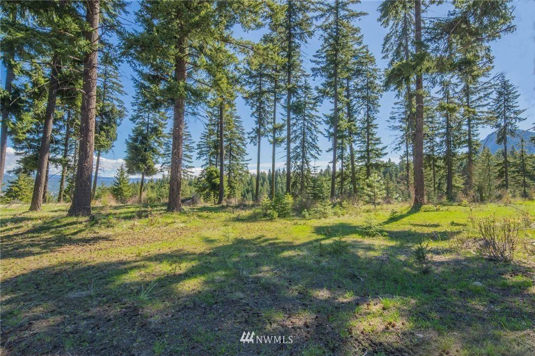 Cle Elum, WA 98922,0 Lot 13 Pinnacle LN