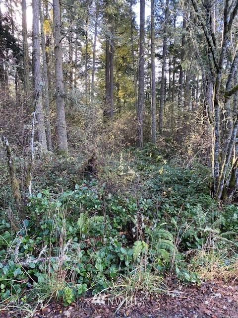 Decatur Island, WA 98221,0 Div 2 Lot 28 - Bowers RD