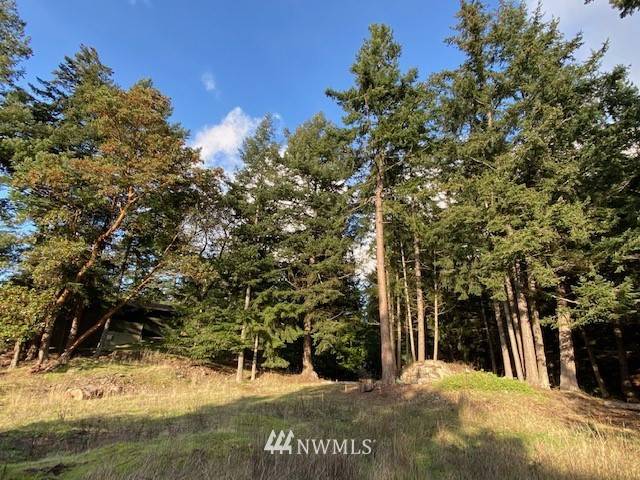 Orcas Island, WA 98245,0 xx Palisades DR