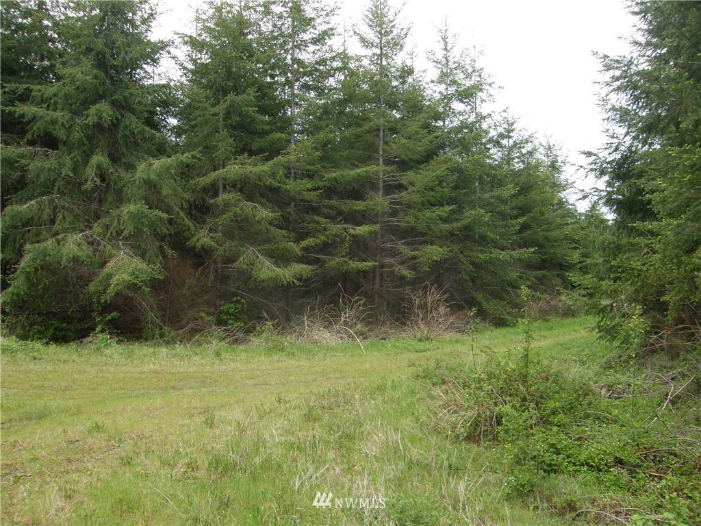 Montesano, WA 98563,0 M.P. 12 Wynooche Valley RD