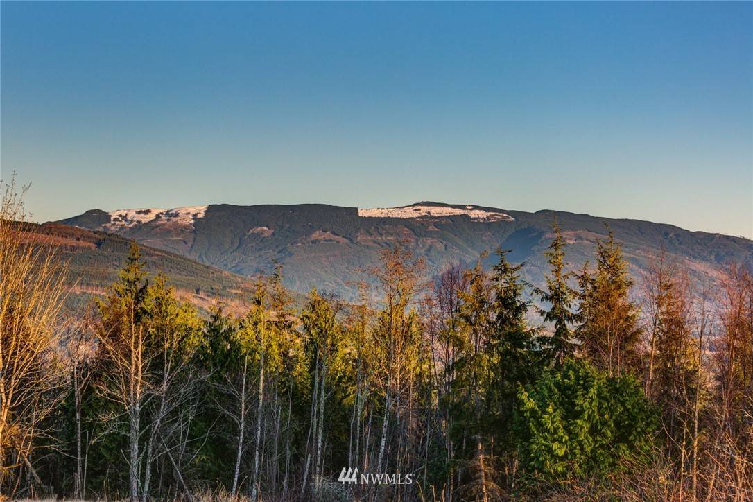 Bow, WA 98232,3310 Blanchard Knob TRL