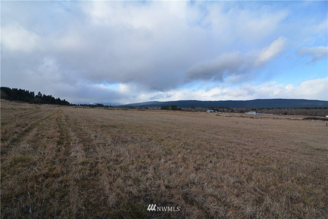 Cle Elum, WA 98922,0 Lot 8 Lower Peoh Point RD